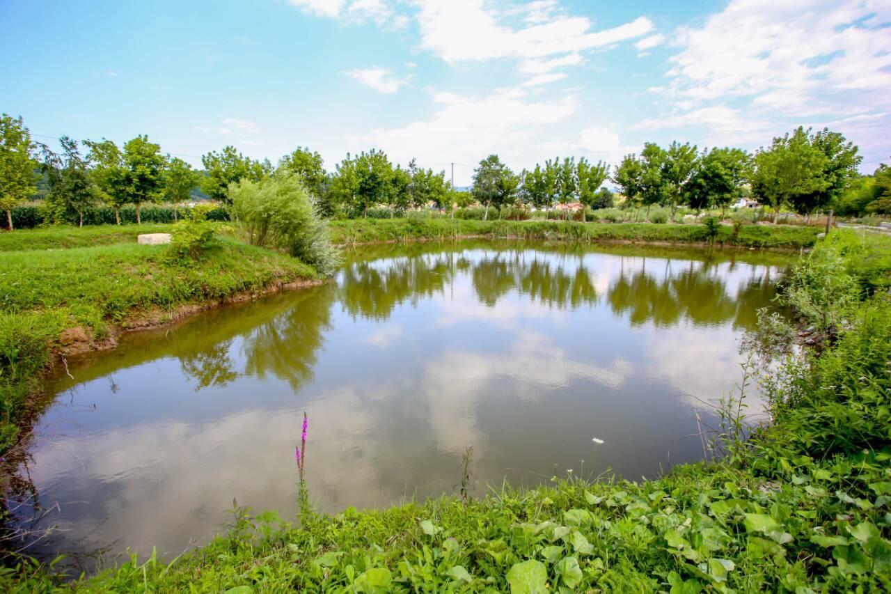 Apartments River Una 5 Bihać Kültér fotó